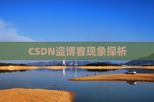 CSDN盗博客现象探析